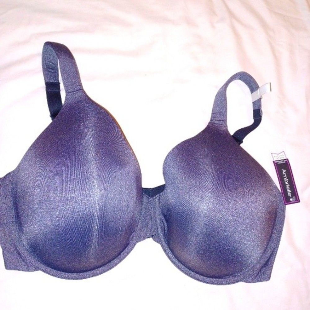 Ambrielle Bra NWT 42DDD (F) Full Figure Gray Full Molded Cups 4-Hook Closure